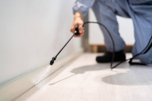 Licensed Termite Control service in Belvidere, IL - Nex Pest Control