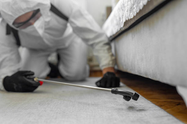 Professional Termite Control technician working in Belvidere, IL