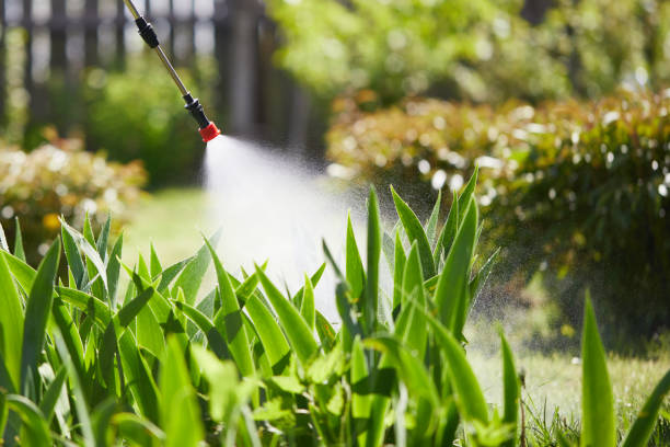 24/7 Emergency Termite Control experts in Belvidere, IL